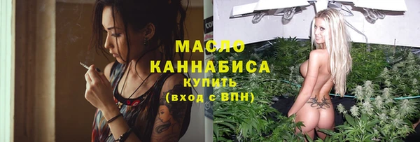 индика Богородск