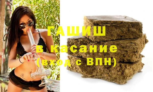 индика Богородск
