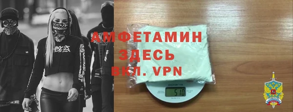 дживик Верхний Тагил