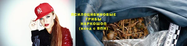 дживик Верхний Тагил