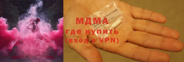 индика Богородск