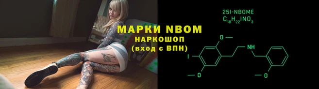 индика Богородск