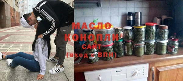 индика Богородск