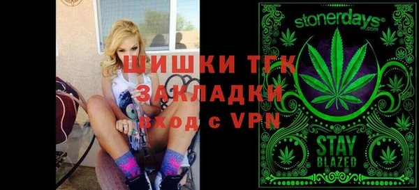 дживик Верхний Тагил