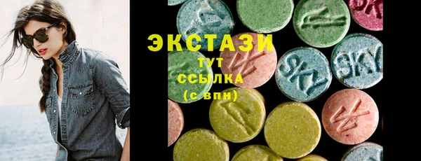 индика Богородск