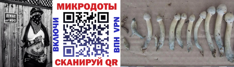 ОМГ ОМГ Касли Псилоцибиновые грибы прущие грибы